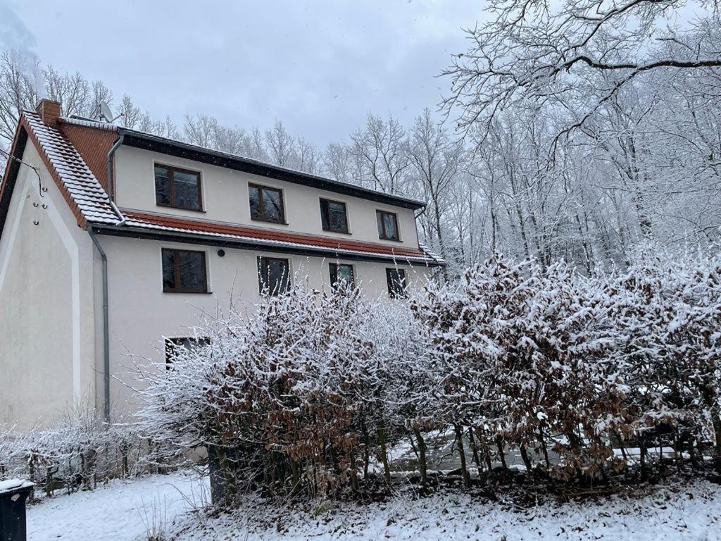 Apartment Am Hochwald Reinhardtsdorf-Schona المظهر الخارجي الصورة