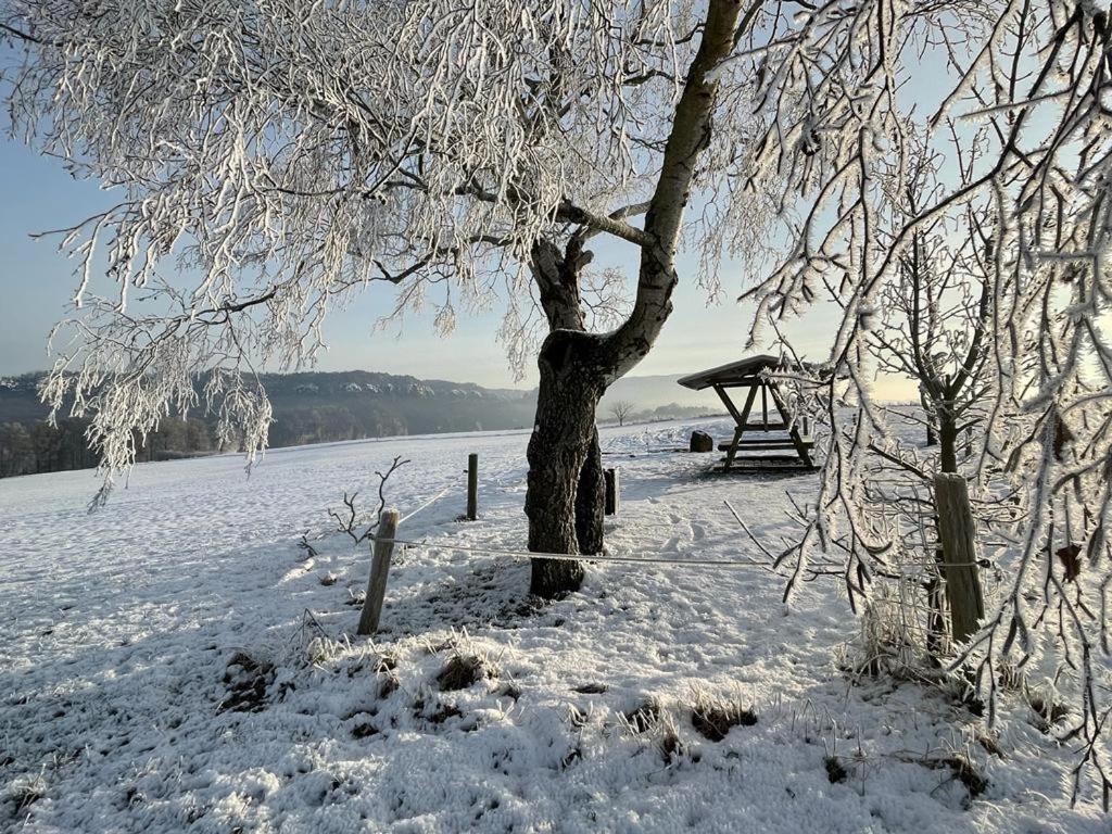 Apartment Am Hochwald Reinhardtsdorf-Schona المظهر الخارجي الصورة